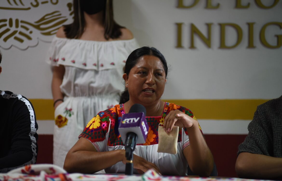 INE y OPLE deben establecer reglas para elección de candidatos indígenas o afrodescendientes: INPI