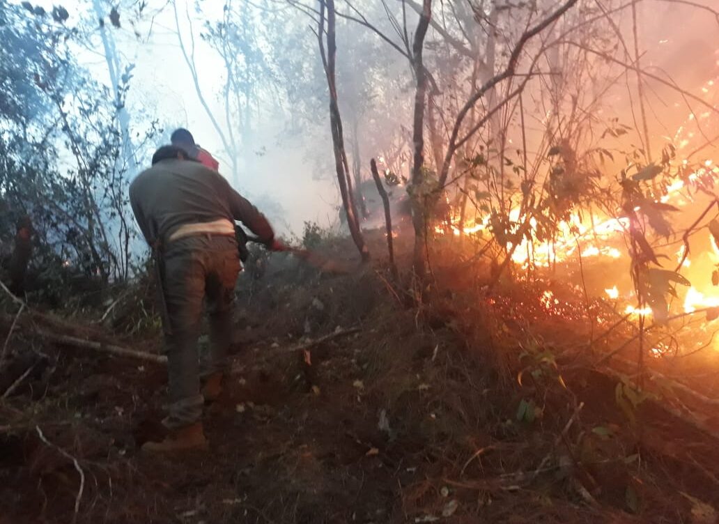 Altas temperaturas mantienen tres incendios en activo en Veracruz