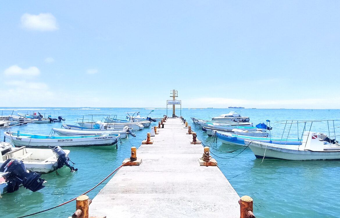 Llevan 17 años pescadores veracruzanos sin recibir apoyos federales