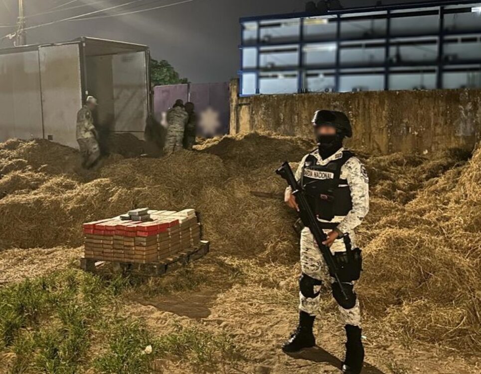 Guardia Nacional asegura 240 paquetes de cocaína en el sur de Veracruz