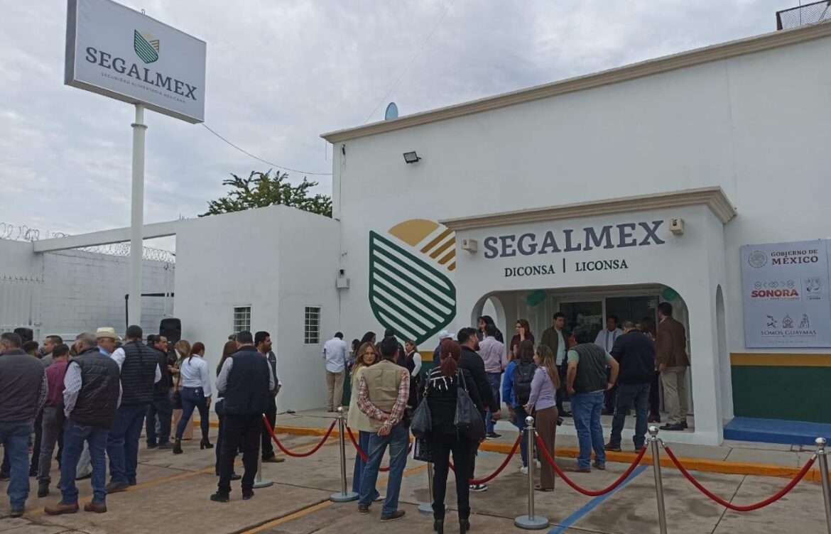 Fraude de Segalmex asciende a 2.7 billones: Gobierno federal