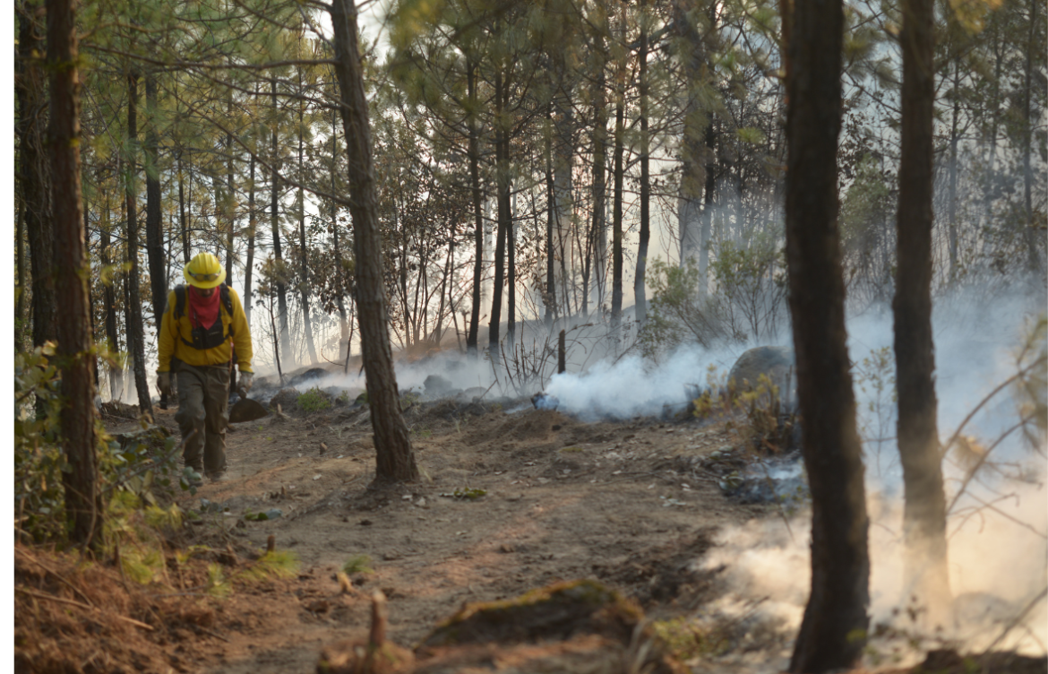 Veracruz enfrenta el desafío de contener 16 incendios forestales