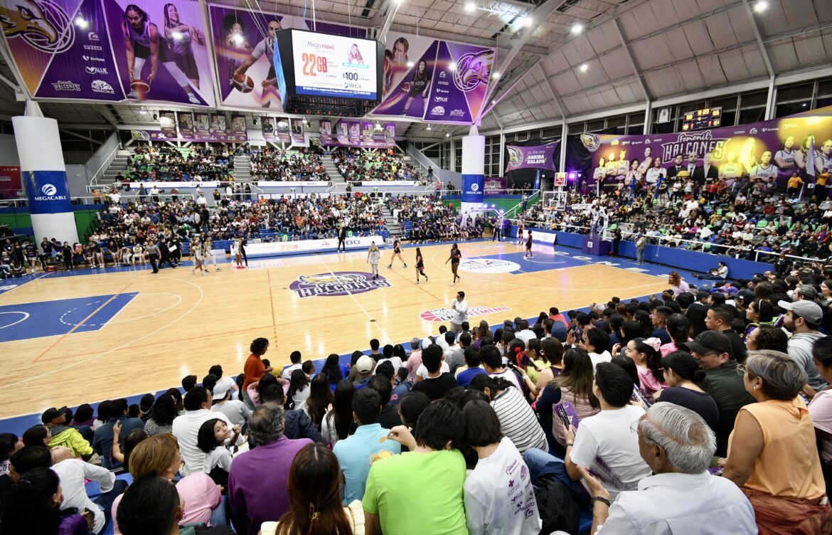 El Nido del Halcón recibió el tercer juego de la final de zona Punto CHG