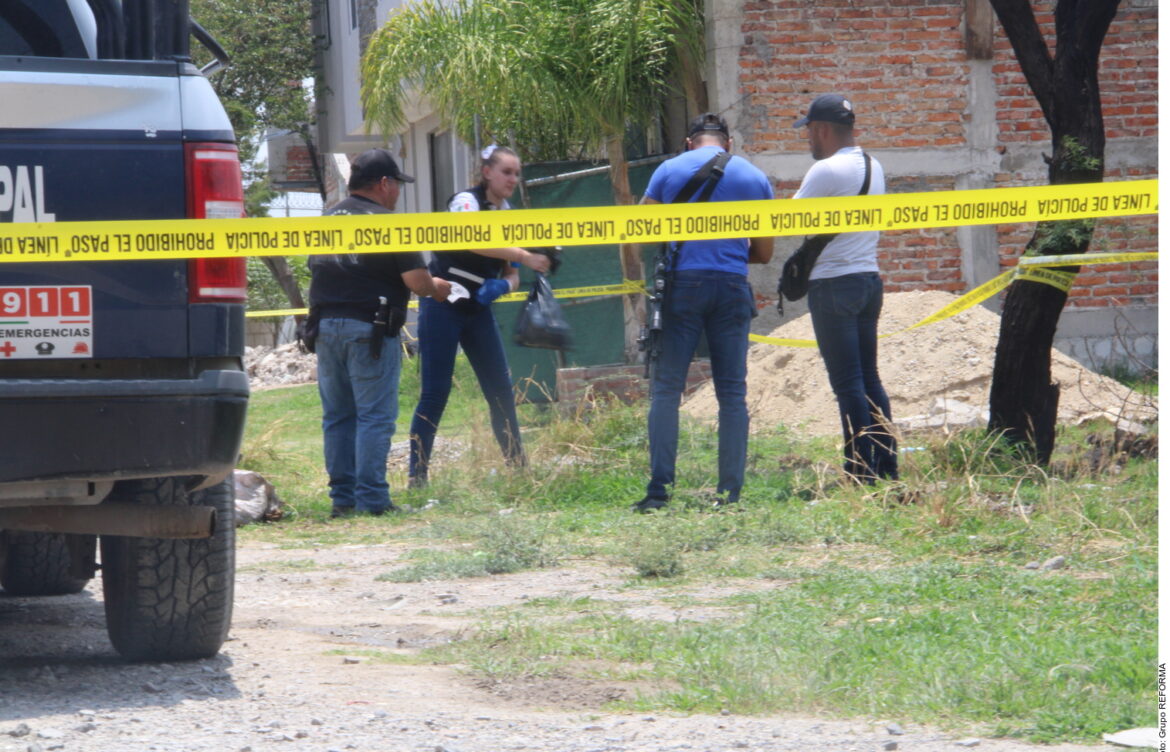 Perros comen partes humanas en Guadalajara, todo sobre el caso