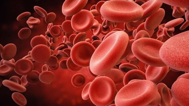 Un cuarto del planeta padeció anemia en 2021