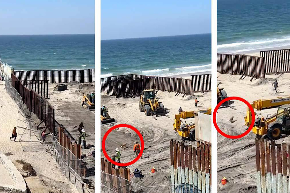 Migrantes y ‘lomito’ aprovechan reparación de muro para cruzar a EU