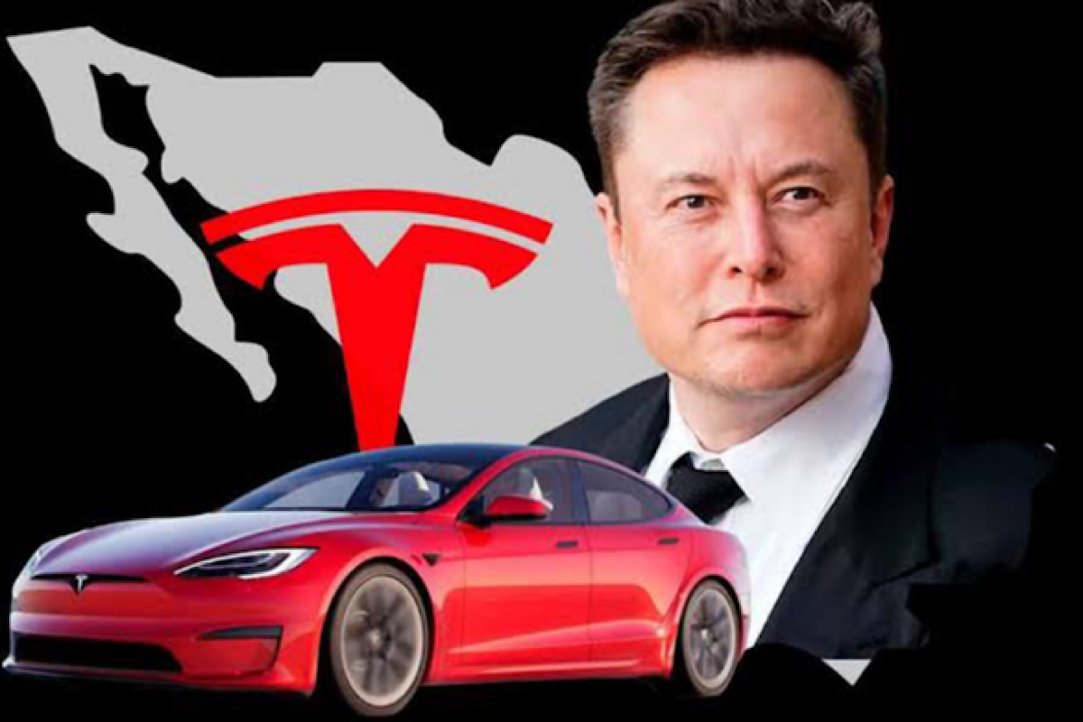 Elon Musk ‘se tomará con calma’ construcción de planta