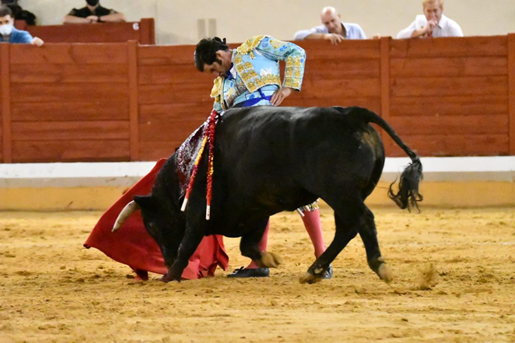 Cancelan corridas de toros en Guadalajara