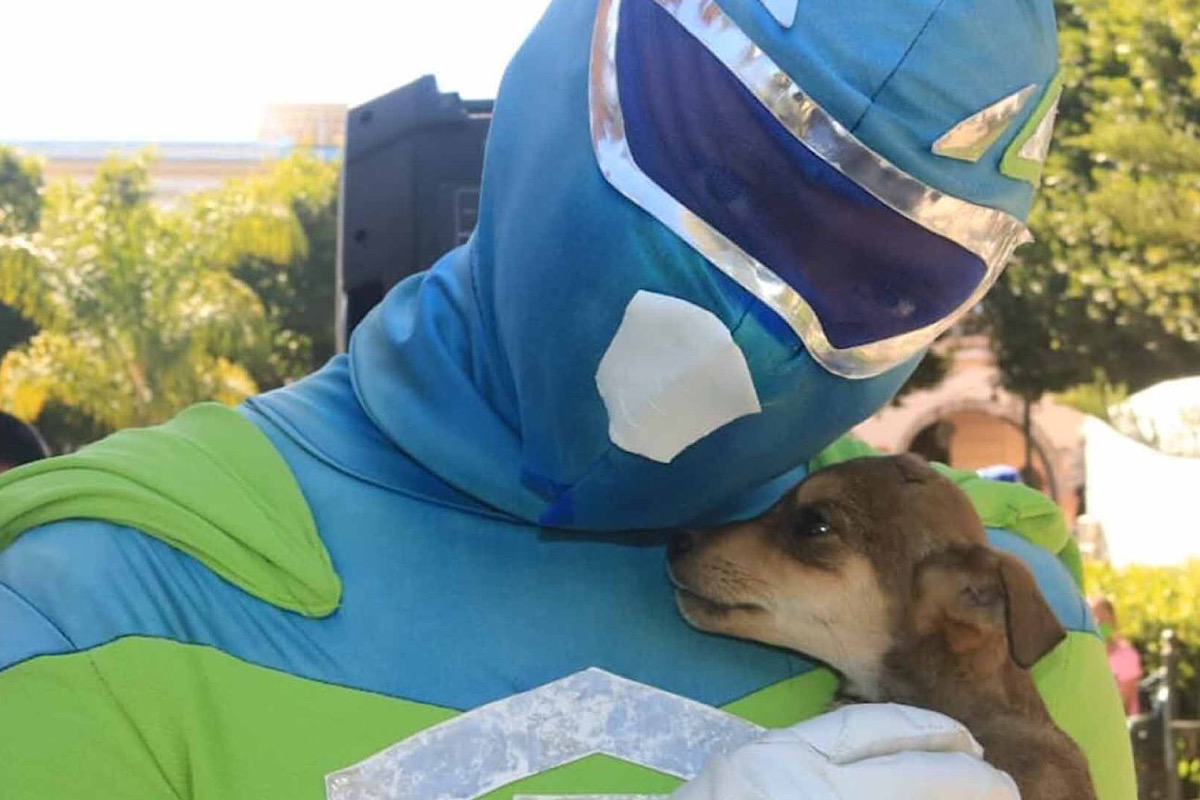 ¡Héroes sin capa! Dan agua y comida a mascotas en situación de calle tras paso de huracán en Acapulco