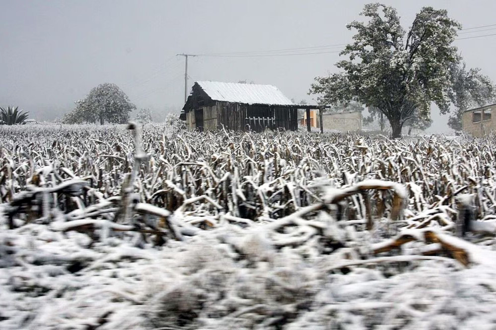 Lluvias torrenciales en regiones de Chiapas, Tabasco y Veracruz, e intensas en Oaxaca y Puebla