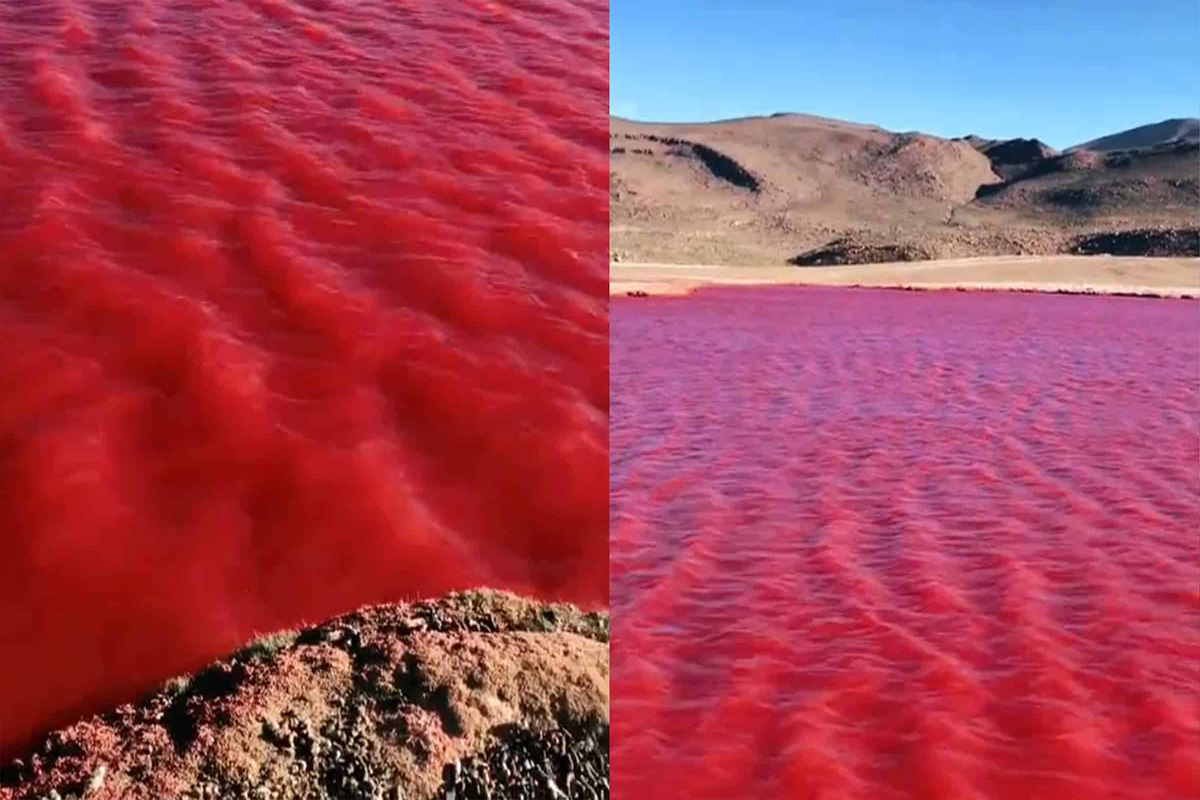 Rio Nilo se tiñó de rojo y causa pánico en redes sociales por su presagio bíblico