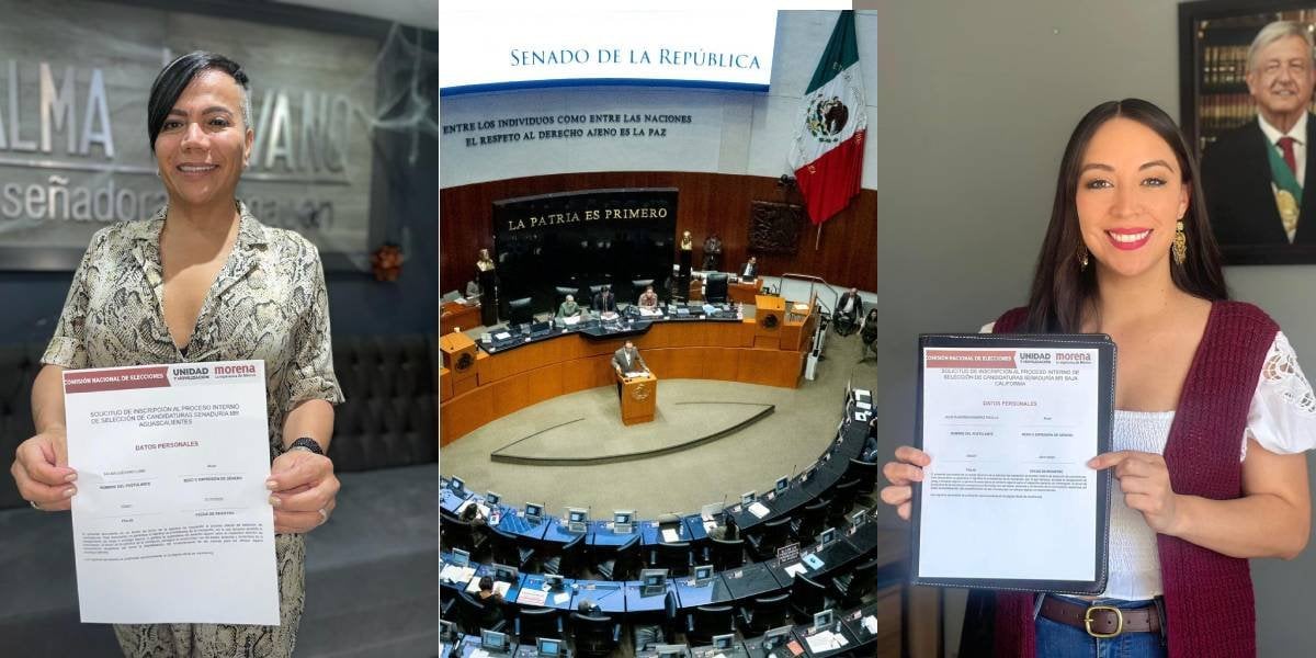 Estos diputados buscan ‘saltar’ al Senado en 2024