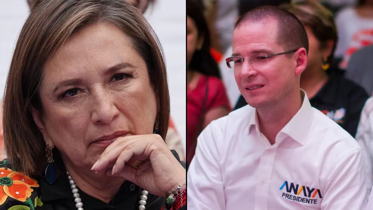 Xóchitl Gálvez se deslinda de candidatura de Ricardo Anaya