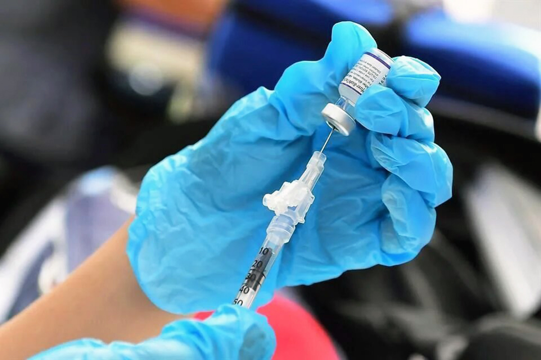 Anuncian venta de vacuna Pfizer antiCovid desde esta semana