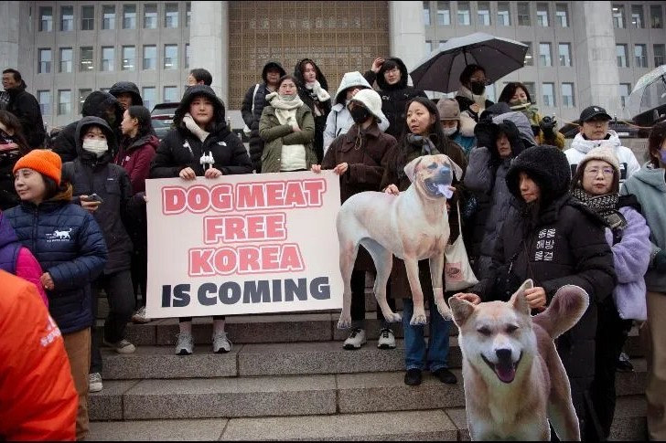 Corea del Sur aprueba prohibir consumo de carne de perro para 2027