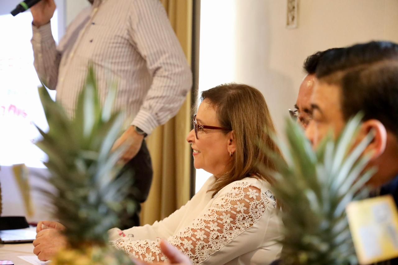 Rocío Nahle dialoga con productores de piña de Veracruz