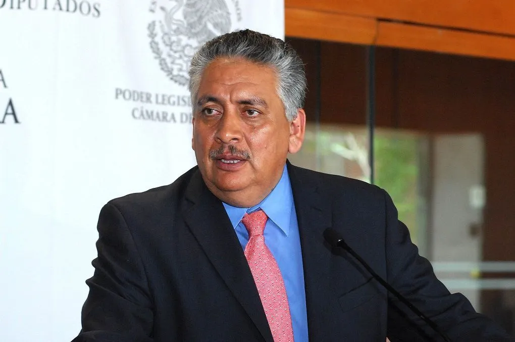 Guadalupe Acosta rinde protesta como representante del PRD ante el INE