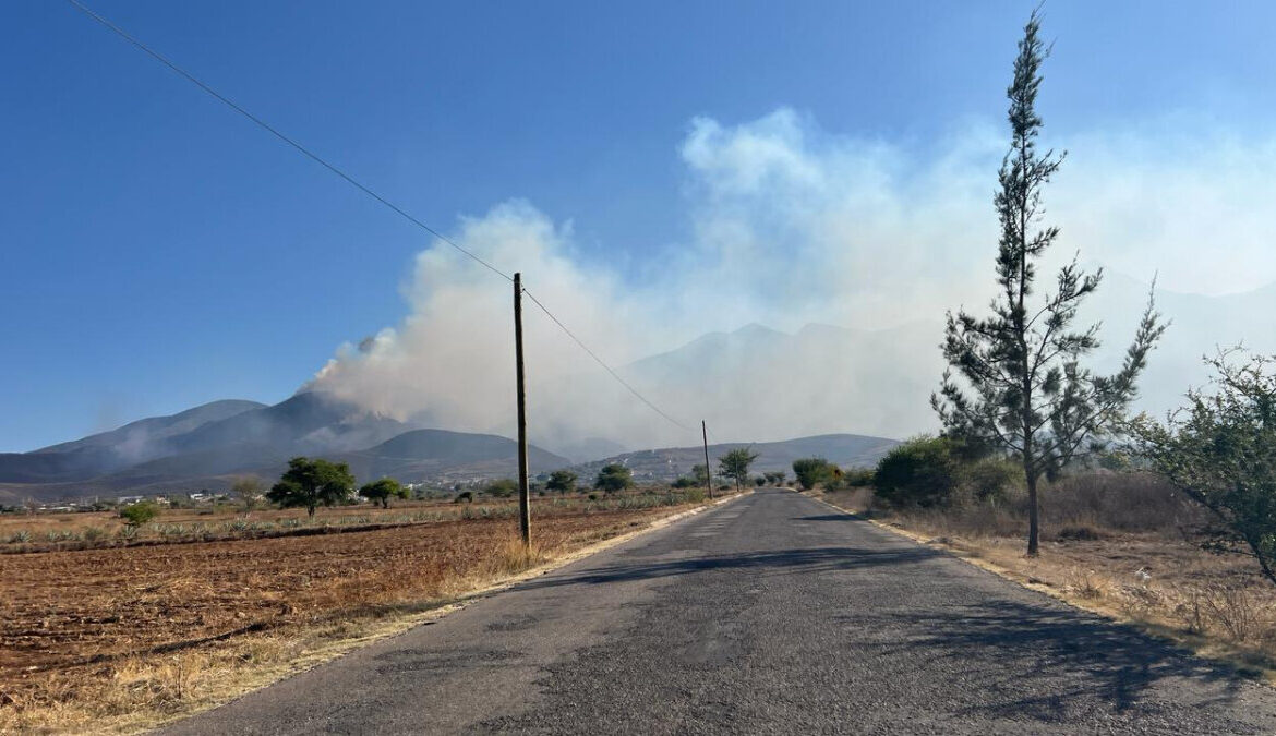 Mueren cinco pobladores al combatir incendio que consume su bosque