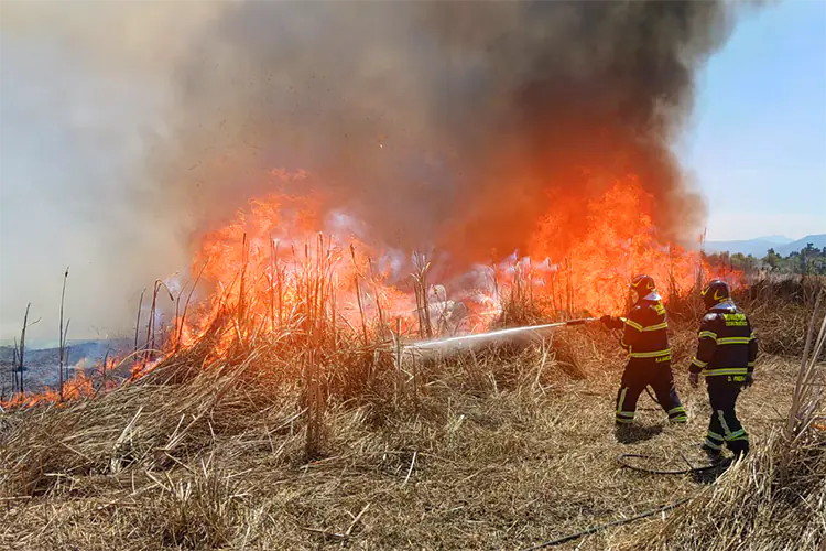 Incendio de Cuemanco, en Xochimilco, consume 29 hectáreas