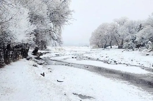 La Coordinación Estatal de Protección Civil informó acerca de las vías clausuradas por la nieve