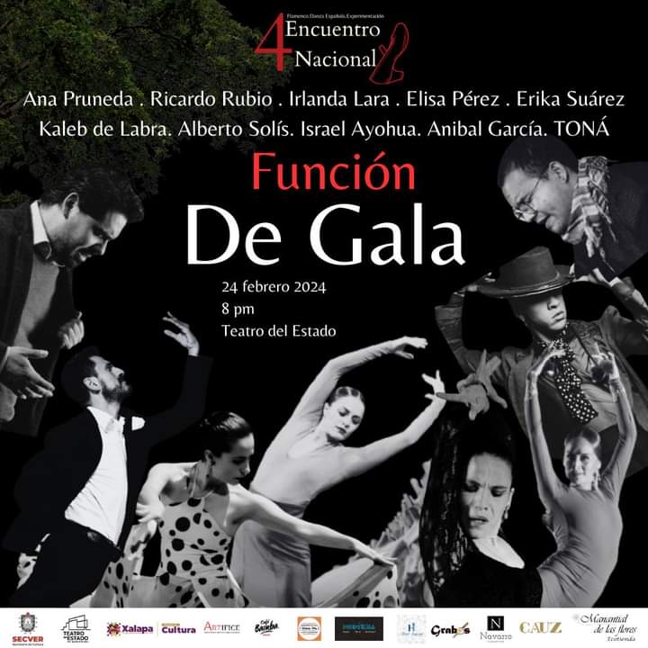 4º Encuentro Nacional de Danza Española, Flamenco y Experimentación Con el lema “El arte es para compartir” Artífice, Centro Vocacional y Profesional para la Danza, convoca al Cuarto Encuentro de Flamenco, Danza Española y Experimentación del 22 al 25 de Febrero del 2024, en Xalapa, Veracruz.