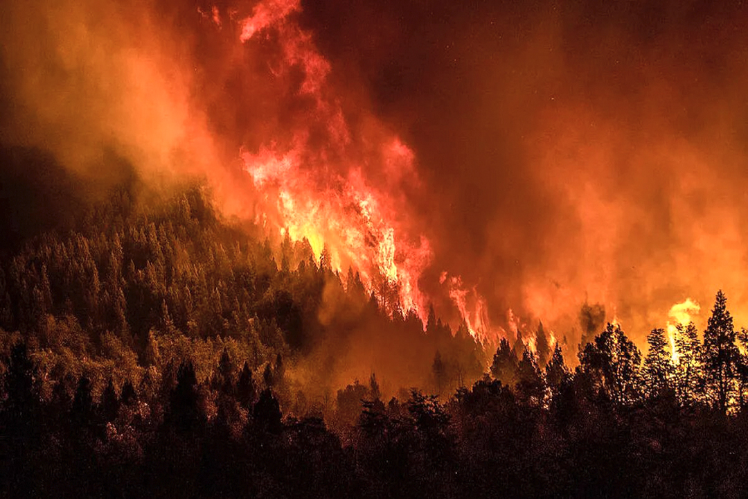 Incendio Nahuel Huapi ya consumió más de 634 hectáreas
