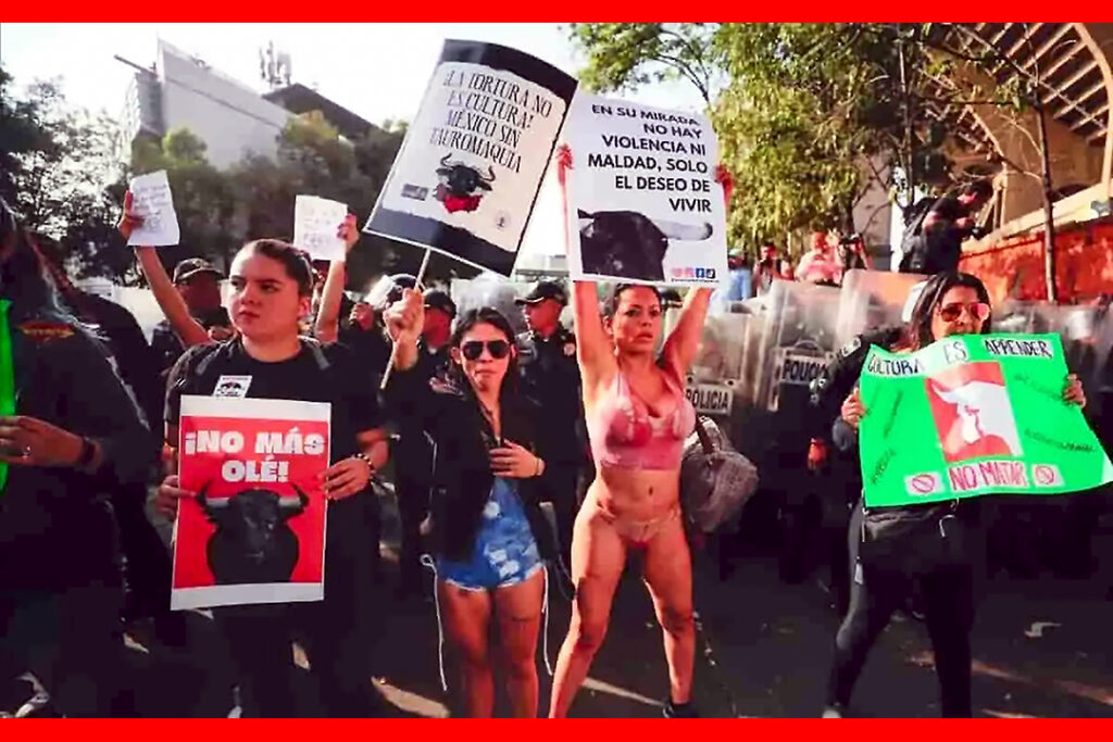 La suspensión provisional de las corridas en Puebla aún no es una sentencia, pues el asunto de fondo queda pendiente de juicio.