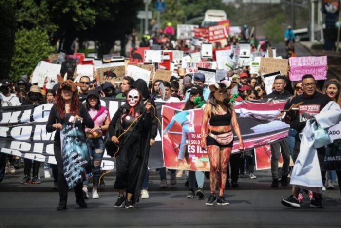 La suspensión provisional de las corridas en Puebla aún no es una sentencia, pues el asunto de fondo queda pendiente de juicio.