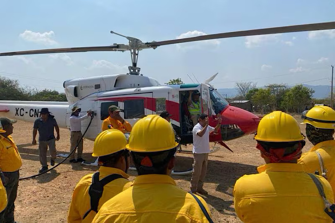 Por tierra y aire combaten incendios en bosques de encino en Oaxaca