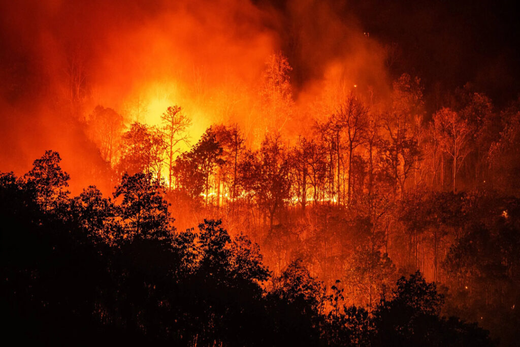 De un día a otro, el número de incendios forestales activos en el País creció casi un 70 por ciento, al pasar de 58 a 95.