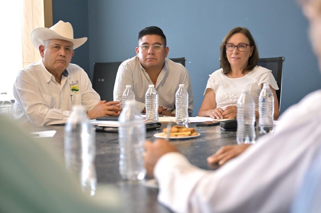 Rocío Nahle Veracruz potenciará su lugar como primer productor de caña de azúcar Veracruz ratificará su estatus como uno de los primeros estados productores de caña de azúcar, afirmó la Ingeniera Rocío Nahle García.