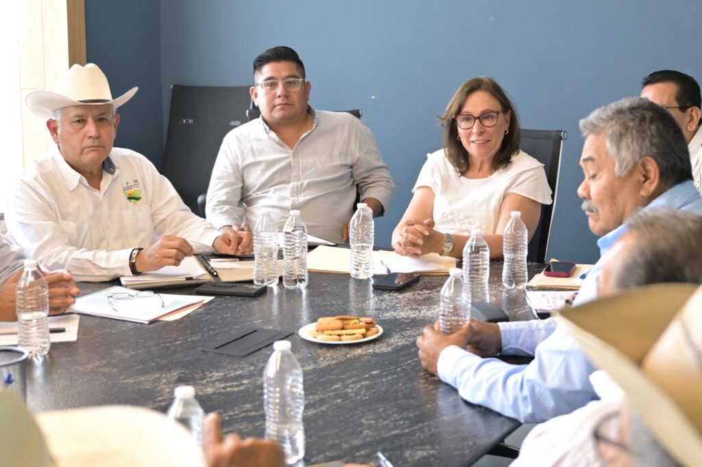 Rocío Nahle Veracruz potenciará su lugar como primer productor de caña de azúcar Veracruz ratificará su estatus como uno de los primeros estados productores de caña de azúcar, afirmó la Ingeniera Rocío Nahle García.