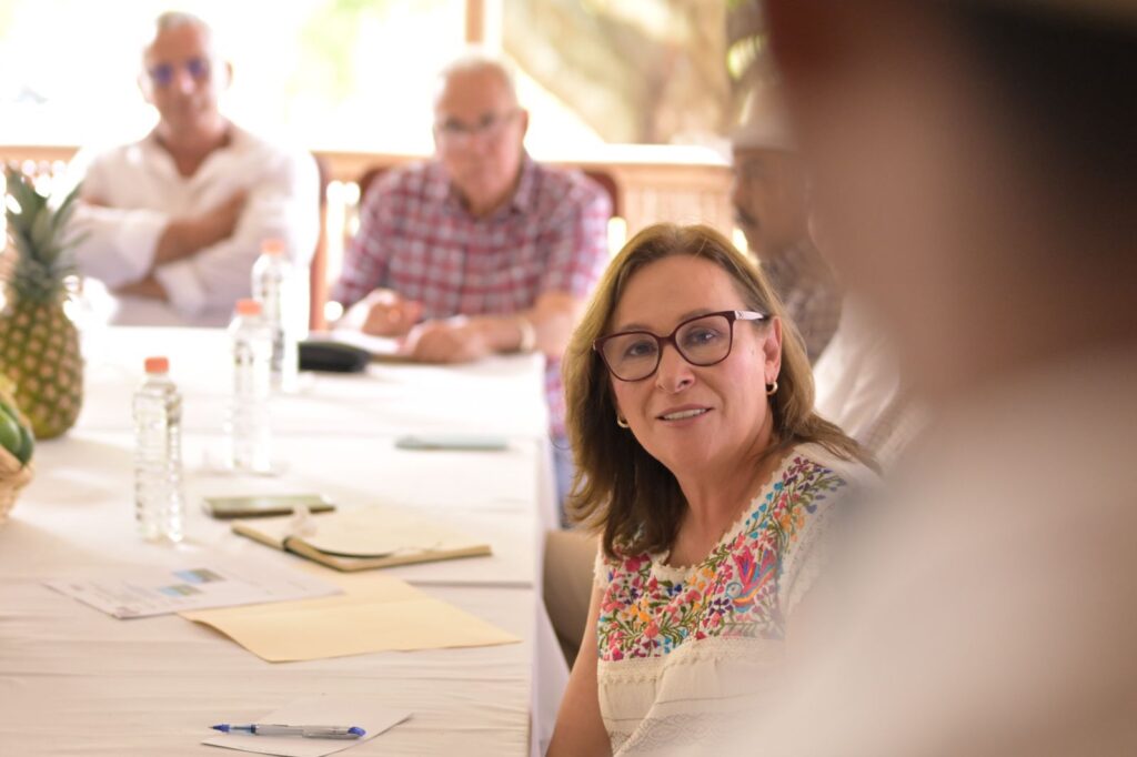 Precio de garantía demanda justa para lograr estabilidad en el campo asegura Nahle Veracruz es el primer lugar nacional en producción de piña y al igual que otros productos, este sector merece ser escuchado y acompañado, aseguró Rocío Nahle.