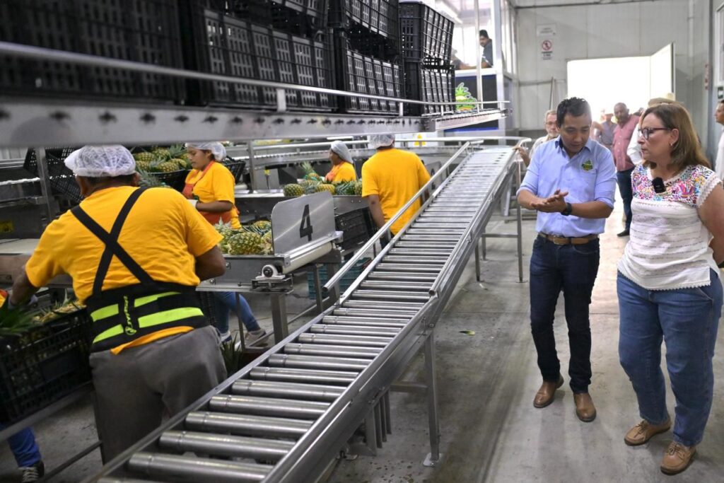 Precio de garantía demanda justa para lograr estabilidad en el campo asegura Nahle Veracruz es el primer lugar nacional en producción de piña y al igual que otros productos, este sector merece ser escuchado y acompañado, aseguró Rocío Nahle.