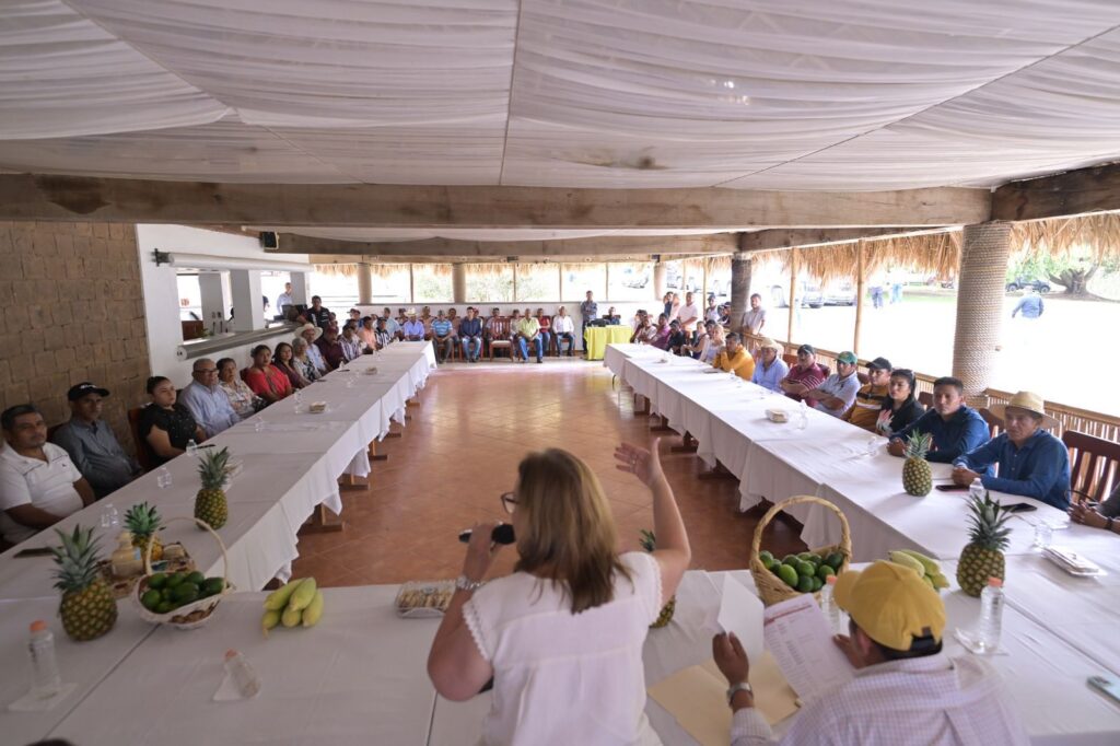 Precio de garantía demanda justa para lograr estabilidad en el campo asegura Nahle Veracruz es el primer lugar nacional en producción de piña y al igual que otros productos, este sector merece ser escuchado y acompañado, aseguró Rocío Nahle.