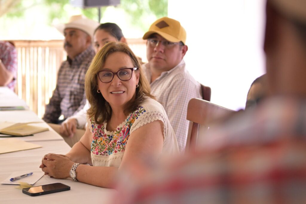 Precio de garantía demanda justa para lograr estabilidad en el campo asegura Nahle Veracruz es el primer lugar nacional en producción de piña y al igual que otros productos, este sector merece ser escuchado y acompañado, aseguró Rocío Nahle.