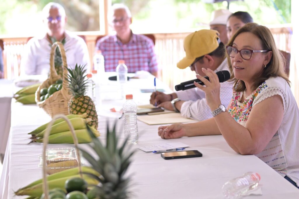Precio de garantía demanda justa para lograr estabilidad en el campo asegura Nahle Veracruz es el primer lugar nacional en producción de piña y al igual que otros productos, este sector merece ser escuchado y acompañado, aseguró Rocío Nahle.