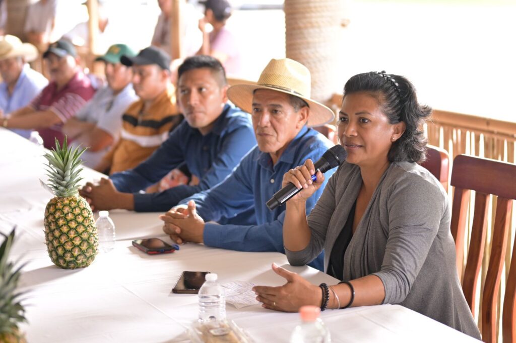 Precio de garantía demanda justa para lograr estabilidad en el campo asegura Nahle Veracruz es el primer lugar nacional en producción de piña y al igual que otros productos, este sector merece ser escuchado y acompañado, aseguró Rocío Nahle.
