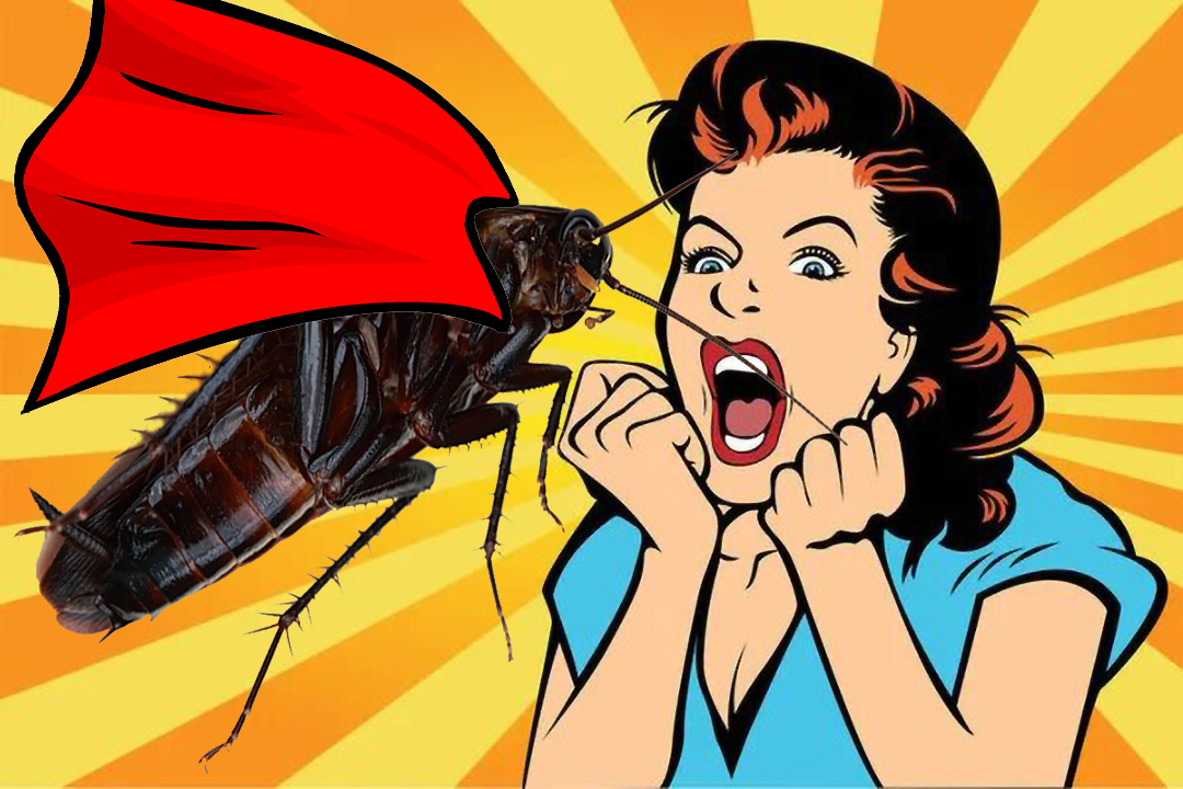 Cambio climático está provocando ‘cucarachas mutantes’ más resistentes a los insecticidas