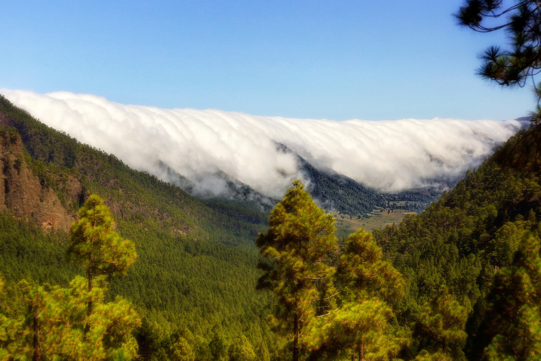 Efecto Föhn, fenómeno que entrará a México afectando el clima en abril