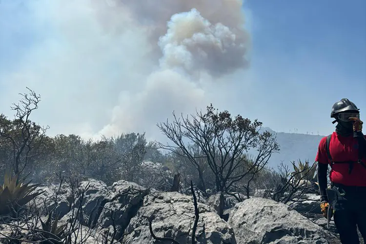 Incendio en El Cascajo 2 arrasa zona forestal en su tercer día