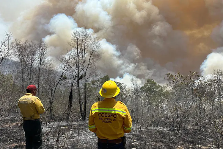 Ola de calor histórica e incendios asolan a todo México