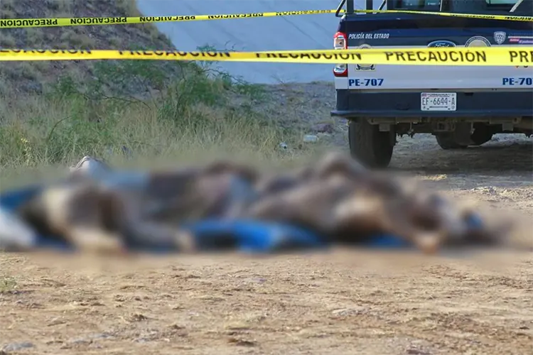 Hallan cinco cuerpos al costado de carretera en Chihuahua
