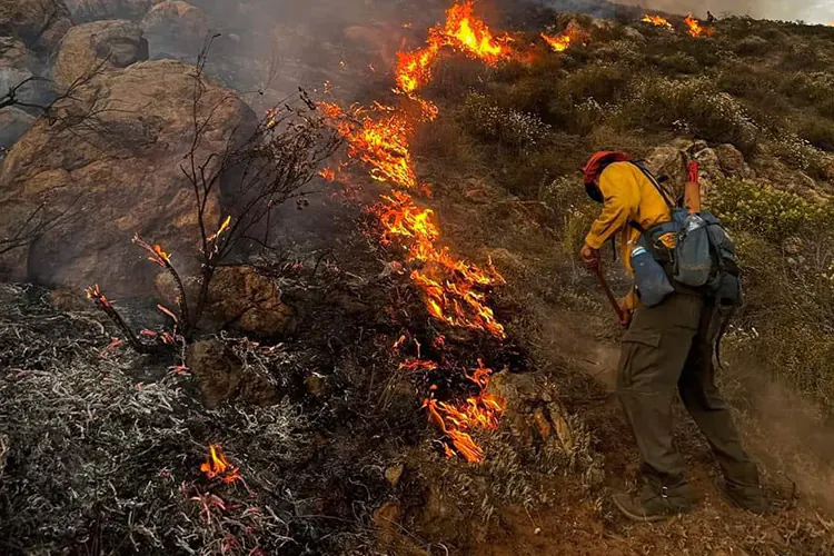 Incendio forestal consume 660 hectáreas de Valle de Guadalupe, Baja California