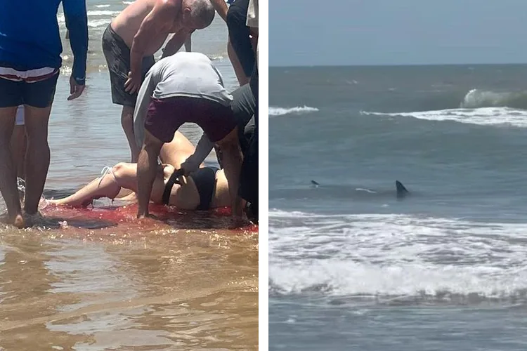 Tiburón ataca a cuatro en Isla del Padre, en Texas