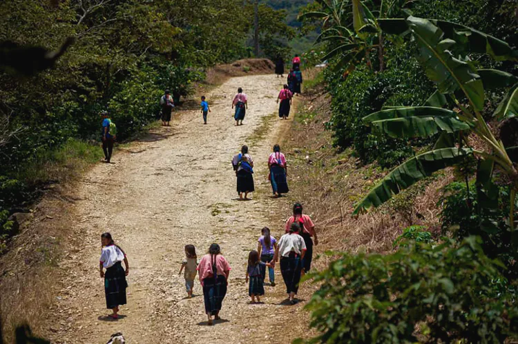 Da SRE a desplazados de Chiapas asistencia en Guatemala
