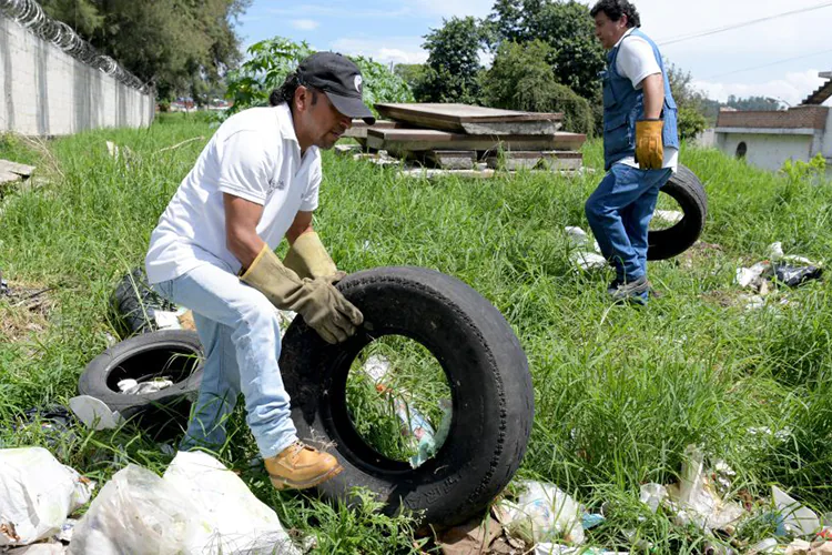 Realiza Ayuntamiento de Xalapa acciones permanentes para prevenir el dengue