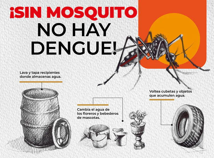 Infografía del Ayuntamiento de Xalapa sobre las medidas preventivas para evitar la proliferación del dengue