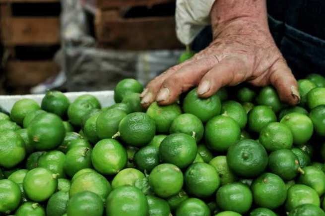 Cierran plantas de limón en Michoacán por cobro de piso