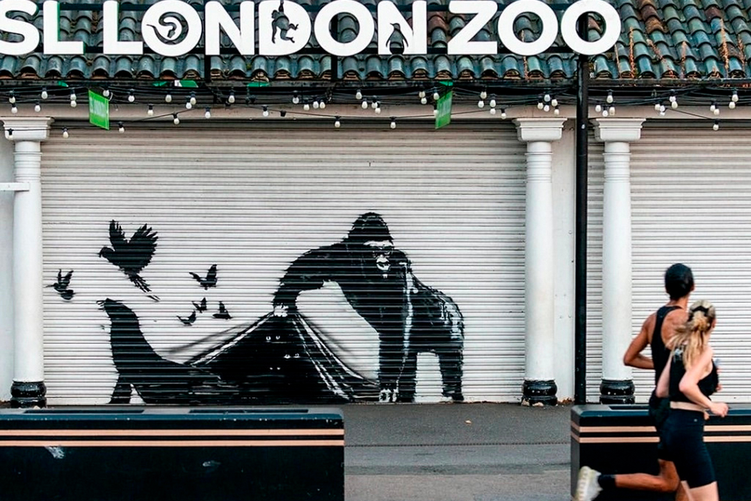 Zoo de Londres retira mural de animales de Banksy para protegerlo